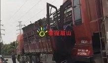 网友爆料货车事件视频在线观看,网友热议现场惊险瞬间