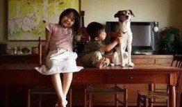 日本家事在线观看,揭秘日本家庭生活日常