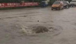 松原大雨最新爆料,最新爆料背后的真相与影响