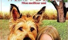 灵犬莱西在线观看,忠诚守护，在线重温经典犬类传奇